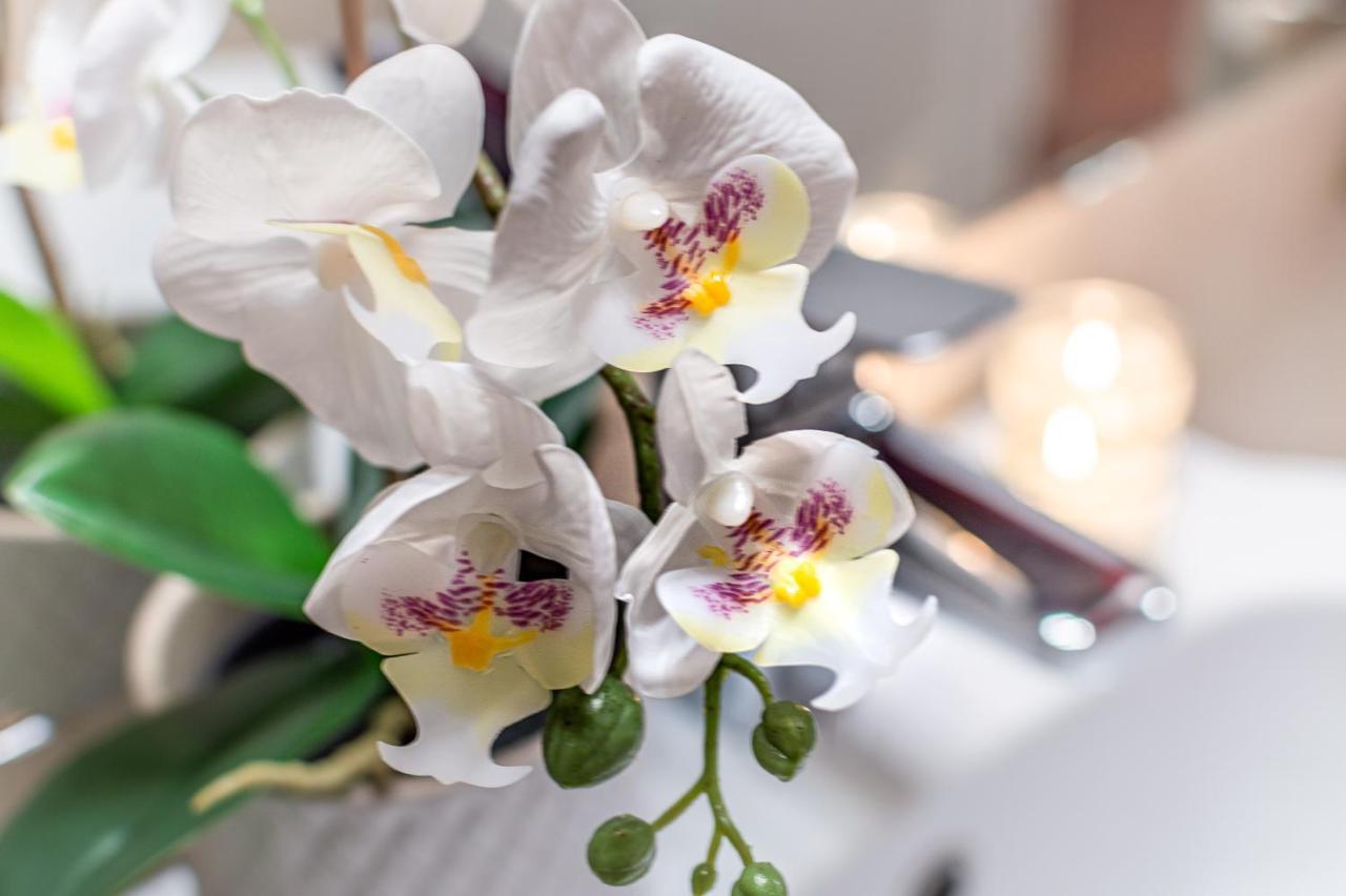 Wine Apartments Florence Ciliegiolo エクステリア 写真